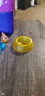 Hatchimals Colleggtibles Carrying Case Lot Of 17  Hachimales 7 Translucent 