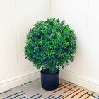 Sunnyglade 21 6 Tall Artificial Boxwood Topiary Ball Tree Set Of 2 Pack Potted