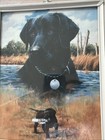Black Lab Labrador Retriever Framed Art Print Signed 10 5x8    Picture Dog Hunting