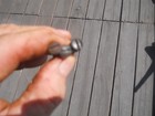 Ww1 French Model 1874 Gras Fusil Short Rifle Triggerguard Tang Screws All Three