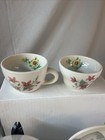 Izaak Walton Inn Syracuse China Great Northern Repro Lot 9 Pieces 