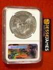 2017 W Burnished Silver Eagle Ngc Ms70 First Day Of Issue John Mercanti Signed