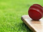 Cricket Ball Hand Stitched Sewn Fine Leather Test Grade