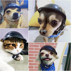 Dog Helmet For Small Dogs  Motorcycle Dog Helmets Chihuahua Helmet  Outdoor Bike