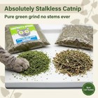 Catnip Premium Bulk 12 Oz Bag Stalkless Dried Ground Strong Smokey s Stash