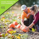 Roasted   Salted Pumpkin Seeds  Pepitas  No Shell  32 Ounce  2lb 