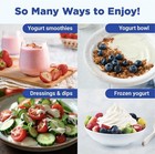 Probiotic Yogurt Maker With Adjustable Temperature   Time Control  Make Trill   