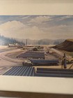 Mid Century Fine Art Framed Print oil double Jointing Plant roy Irwin 18    By 15   