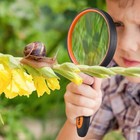 Magnifying Magnifying Glass 10x Handheld Reading Magnifier New 50mm