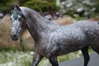 Cm Breyr Carrick cortes C To Marwari Stallion X Frosty Birch Studio