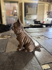 Yorkshire Terrier Miniature Bronze Pla Dog Statue Figurine Sculpture Home Decor