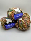 Berroco Medley 5 Donut Balls Yarn Wool Blend 8916 Dye Lot 74 Unopened