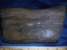 3 Lbs Black Brazos Valley Petrified Wood Detailed Grain
