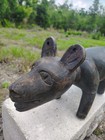 Nkisi Kozo Dog  Wood - Bakongo - Congo Wood Statue