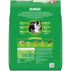 Iams Proactive Health Adult Minichunks Dry Dog Food 30-lb Free Shipping