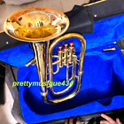 Baritone Horn Of Pure Brass Made In Golden Polish   Cushion Case  free Fast Ship
