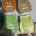 Retired   Current Scentsy Wax Bars Tarts Fragrance Melts - Have 1 Of Each Shown