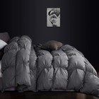 Luxurious All-season Gray Pinch Pleat Goose Down Comforter Duvet Insert  Premium