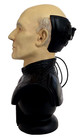 Star Trek N g  Locutus Of Borg Bust  1497 5000 W  Coa 1996   Free Bobblehead    