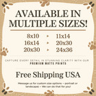 8x10 Matte Print Peacock Dance Oil Painting  