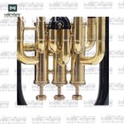 Zuvia Luxe Bb 3-valve Euphonium Brass Instrument With Mouthpeice And Hard Case 