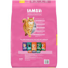 Iams Proactive Health Turkey Dry Cat Food  13 Lb Bag