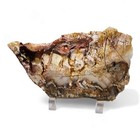 Plume Agate Slab Oregon 88 2 Grams 