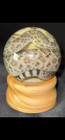  Real Taxidermy Western Diamondback Rattlesnake 4in Globe Wet Specimen