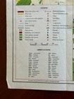 Vtg Carta   s Map Of Jerusalem 1987 Fold Out City Plan Israel Travel