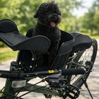 Bicycle Pet Carrier With Mounting Bracket     Small Dog Bike Seat Up To 15 Lb  New