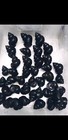 20 4 Japanese Trapdoor Snails  Clean   Healthy  2 Day Shipping Via Fedex   Ups  