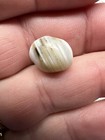 Ancient Banded Agate Eye Bead Roman pakistani 14 4 X 12 3 Mm Collectible Artisan