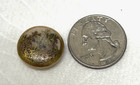 Antique Satsuma Style Button Lots Of Gold W Purple Flowers Pottery China 3 4 