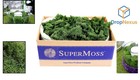 3lbs Preserved Reindeer Moss - Forest Green Elegance For Floral Decor