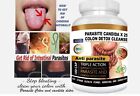 Remove Parasite Anti Parasite   Candida Detox Body Cleanse Ultra Flash Colon 100