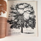 Vintage The Art Of Drawing Trees Grumbacher Library Golden Press Art Instruction