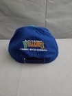 Vintage Lahaina Whalers Hat Mens Snapback Blue Hawaii Winter Baseball New Era