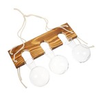 1 Set Of Wall Hanging Hydroponic Planter Multi-purpose Glass Vase Wall Adornment