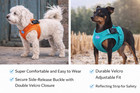Dog Harness Set 15-19 Lbs Turquoise Orange Adjustable Reflective Mesh Padded Lot