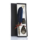 1 Set Retro Calligraphy Feather Dip Pen Quill Fountain Writing Wedding Gifts