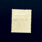 Paraguay Stamp Lot - 1902 Regular Issue Official Overprint Sn O49 Mlh R87