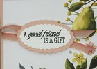 Every Occasion   Friendship