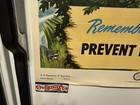 1949 Vintage Original Smokey Bear  another 30 Million Acres Will Burn  Poster C