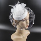 Women Fascinator Hat Pillbox Hat With Veil Wedding Party Headpiece Retro 20s 50s