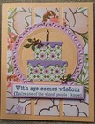 Stampin Up  Card Kit Funny Birthday Pretty Cake   Floral Lovely   Beautiful Dsp