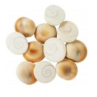 Gomti Chakra  Useful To Ward Off Evil Or Bring Good Luck   Wealth-108 Piece