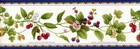 Berries Strawberry Cherry Grape Vine Kitchen Fruits   Floral Wallpaper Border