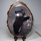Bear Cub Wood Slab Grand Canyon Wall Plaque Souvenir  Cabincore Cabin