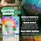 Xylitol Mints  Dry Mouth Lozenges Sugar Free  Mouth Watering Mints - Stimulates