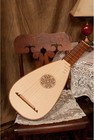Roosebeck 8-course Travel Lute W  Padded Gig Bag